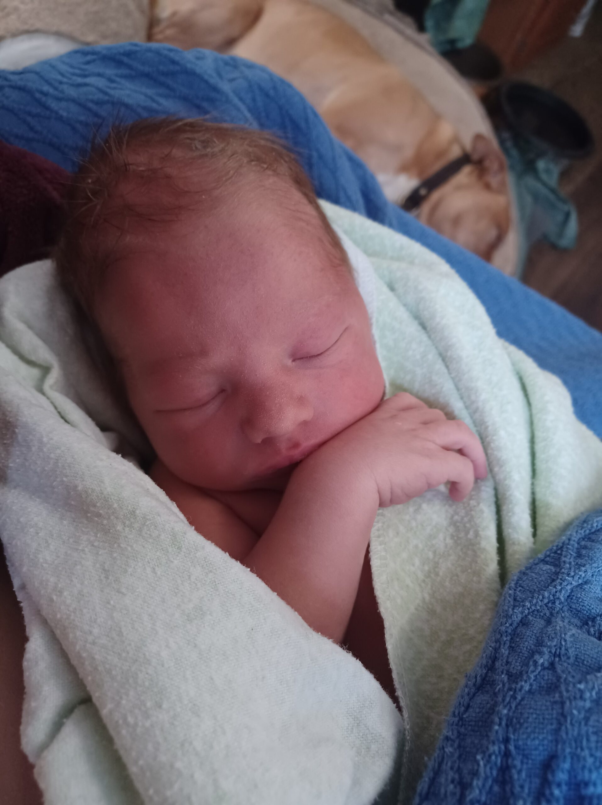 Freebirth in a Camper in the Forest