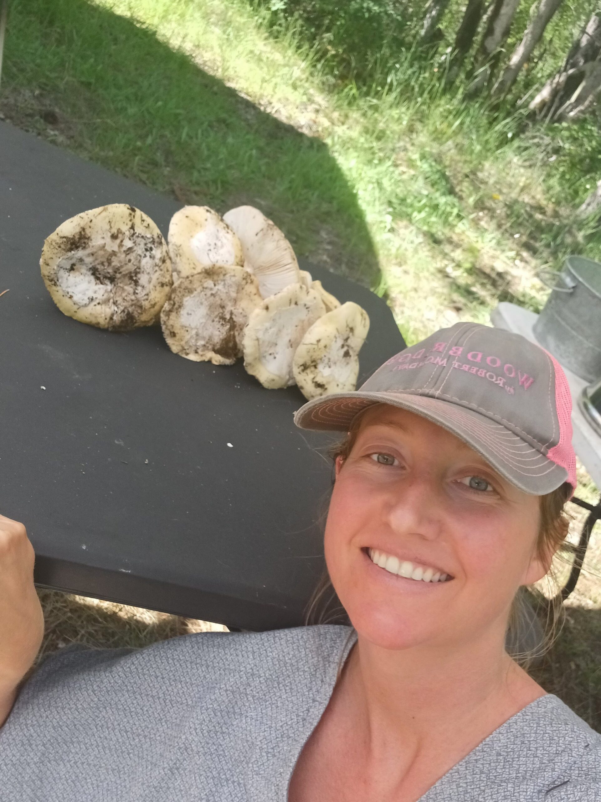 Feasting on the Wild Amanita
